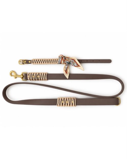 Golden Beige Matching Set S